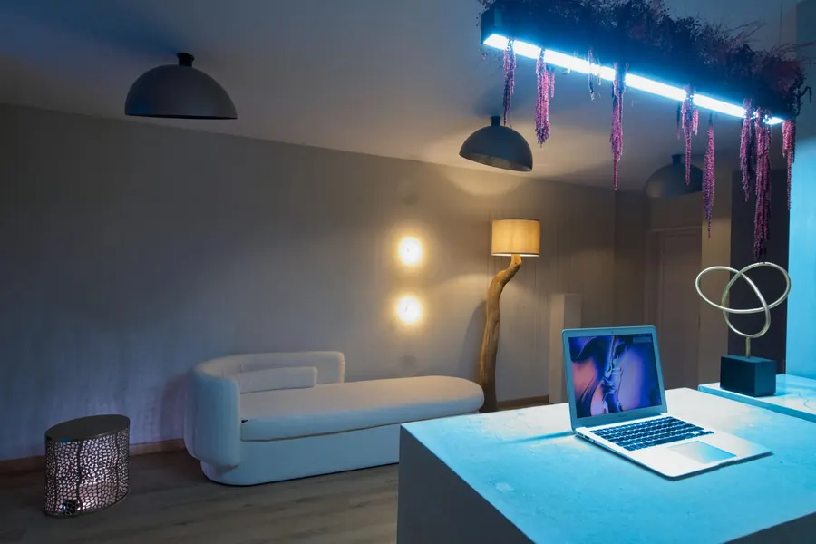 Reception area with a sofa, a laptop on the desk and a branch-shaped floor lamp